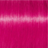 fuchsia-pink