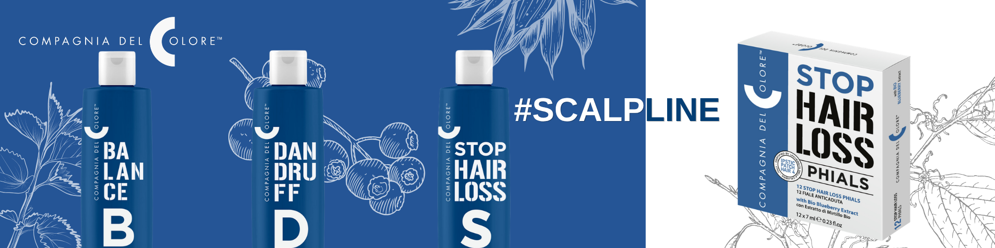 Compagnia del Colore Scalp Line