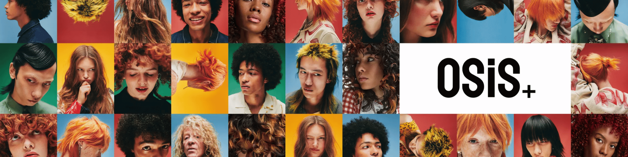 Schwarzkopf Professional OSiS+